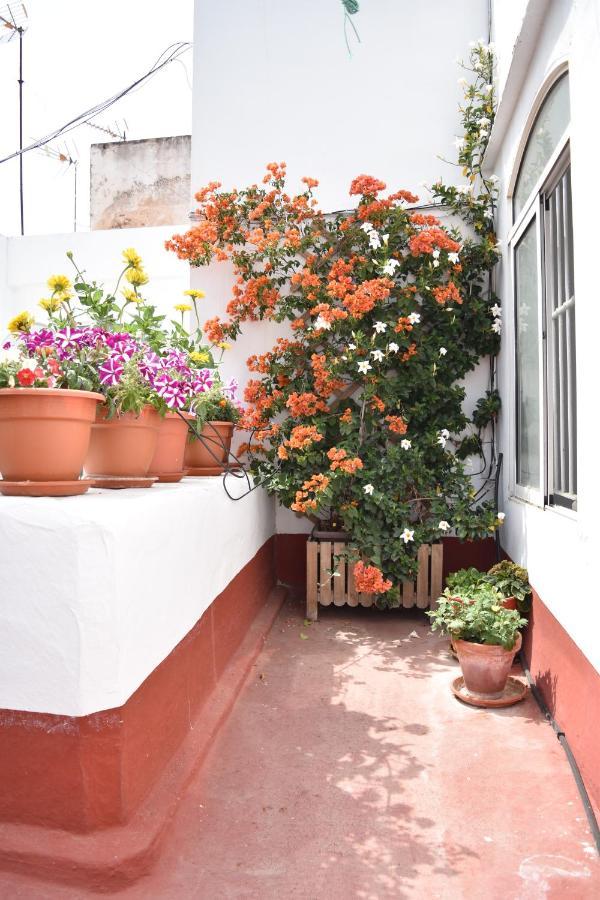 Apartment Veedor 12